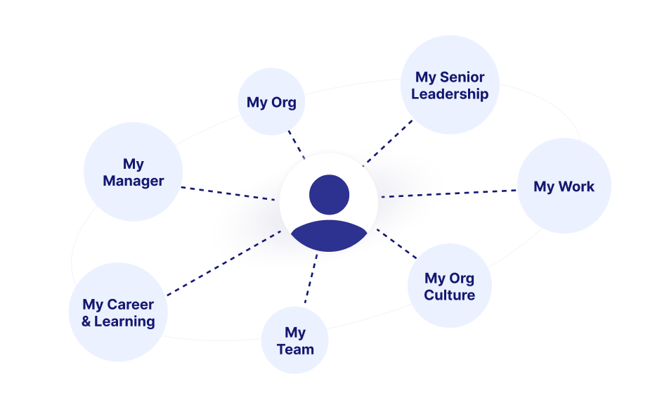 Drivers of Experience