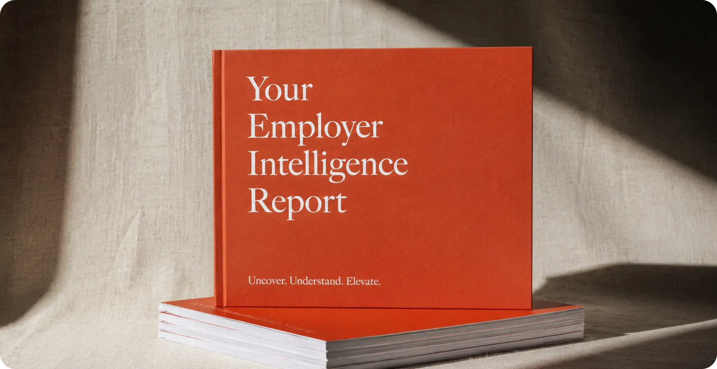 hero-card-2-employer-brand-audit
